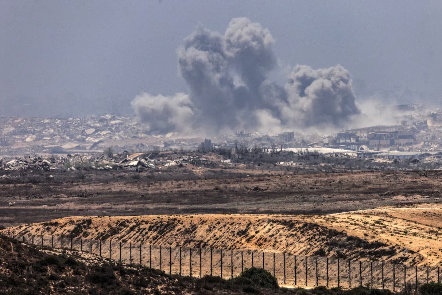 Leading Scholars Declare Genocide in Gaza