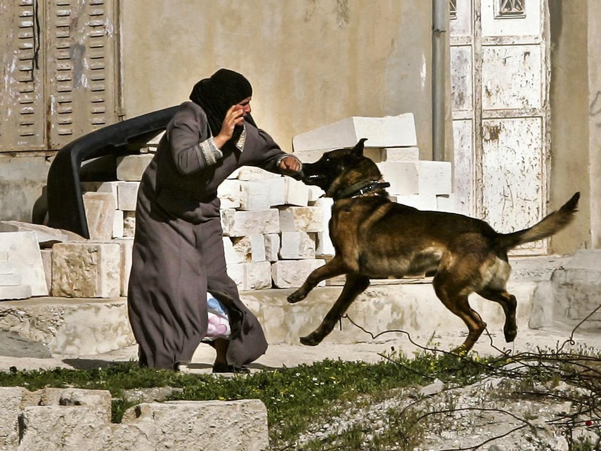 Köpeklerle kadın esirlere saldırdılar