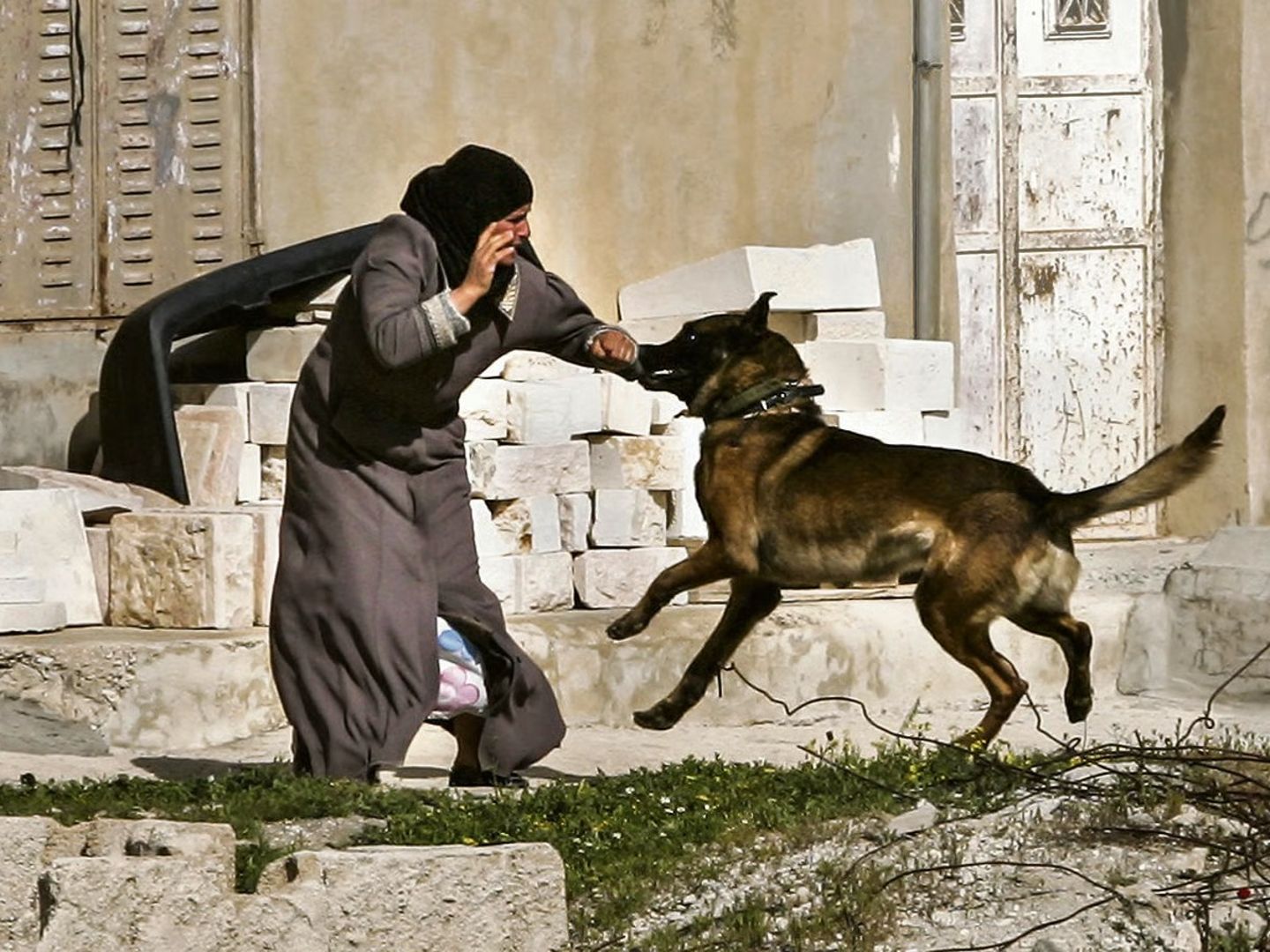 Filistinli kadın esirlere İsrail hapishanesinde işkence: Köpeklerle saldırdılar