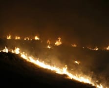 İtalya'nın Sardinya adasında orman yangınları başladı