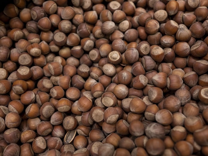 Türkiye fındık ihracatında 5 ayda 1 milyar doları aştı