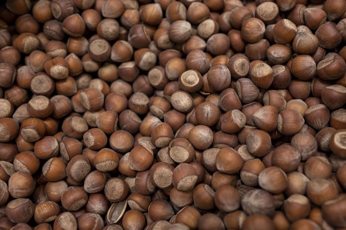 Türkiye fındık ihracatında 5 ayda 1 milyar doları aştı