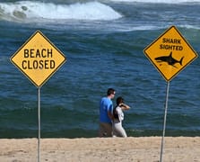 Avustralya'da iki çocuk köpek balığı saldırısına uğradı