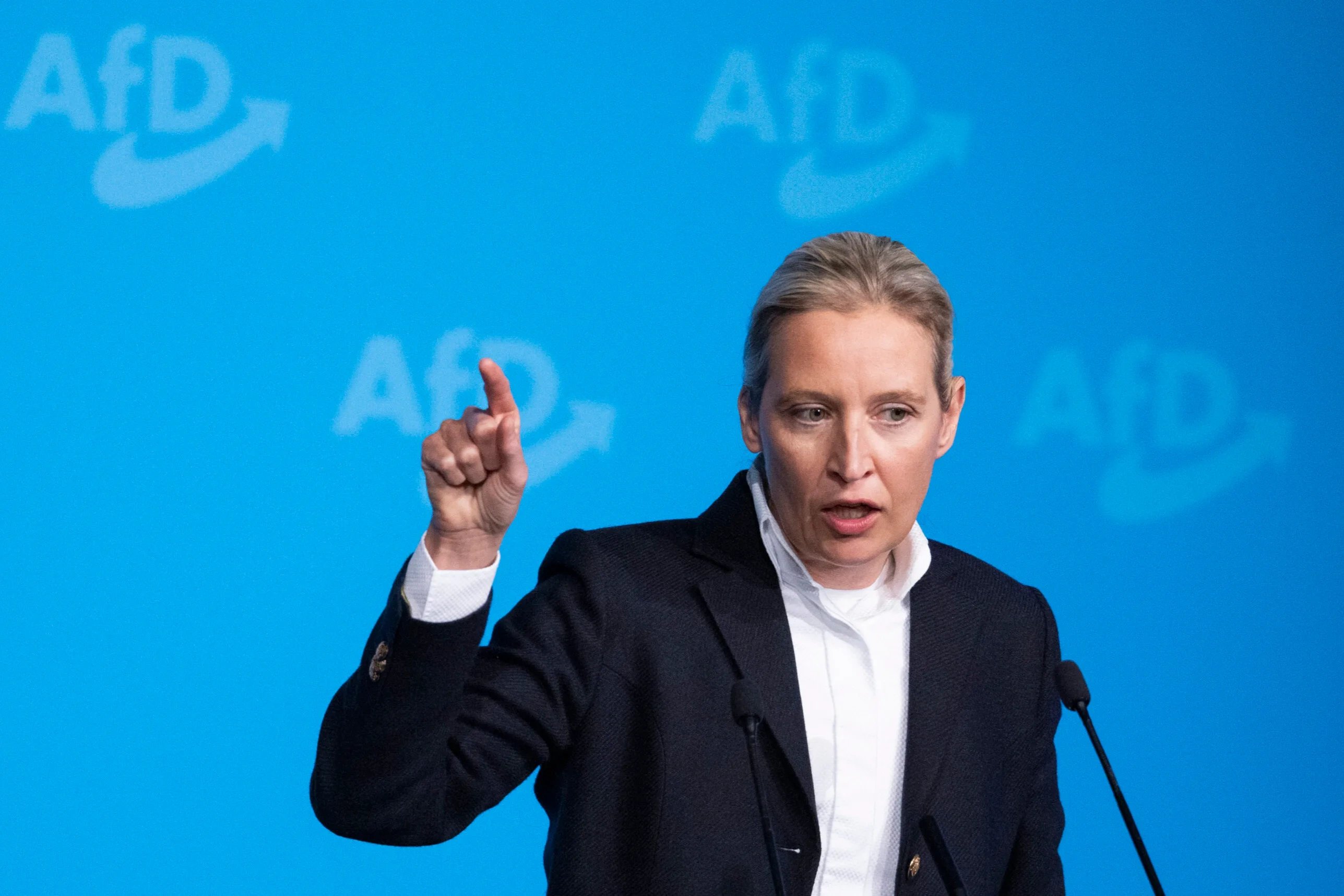AfD Leader Weidel: "Germany Is De Facto Bankrupt"