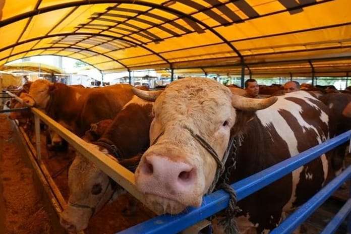 Kırgızistan'da et ihracatına 6 ay süreyle yasak geldi