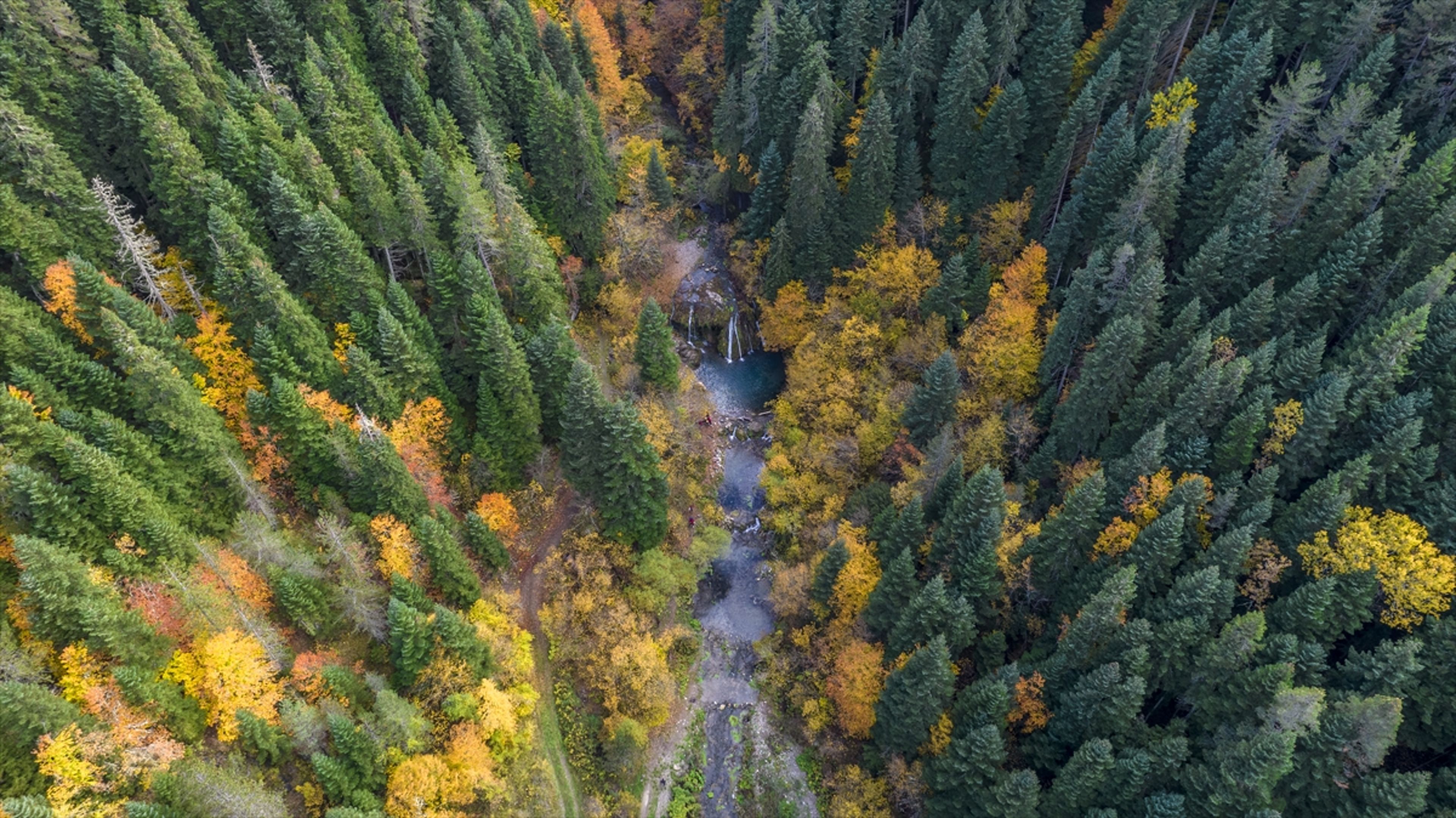 Galeri Fotoğrafı