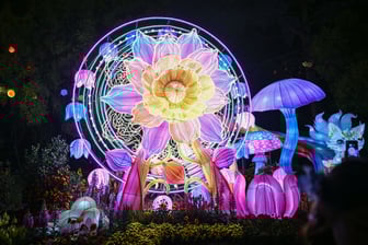 Çin At Yılı’nı fener festivaliyle kutladı