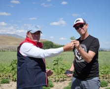 Bayburt tarhunu Amerika'ya ihraç edilecek