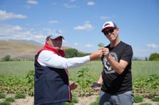 Bayburt tarhunu Amerika'ya ihraç edilecek