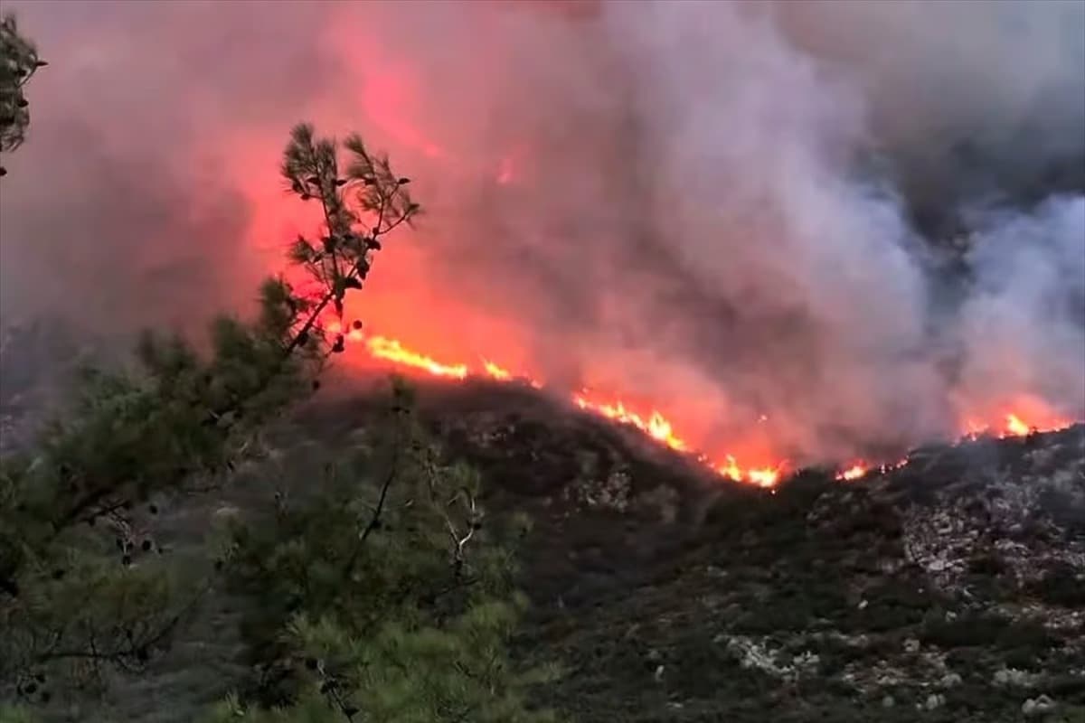 Antalya Kaş'ta orman yangını çıktı