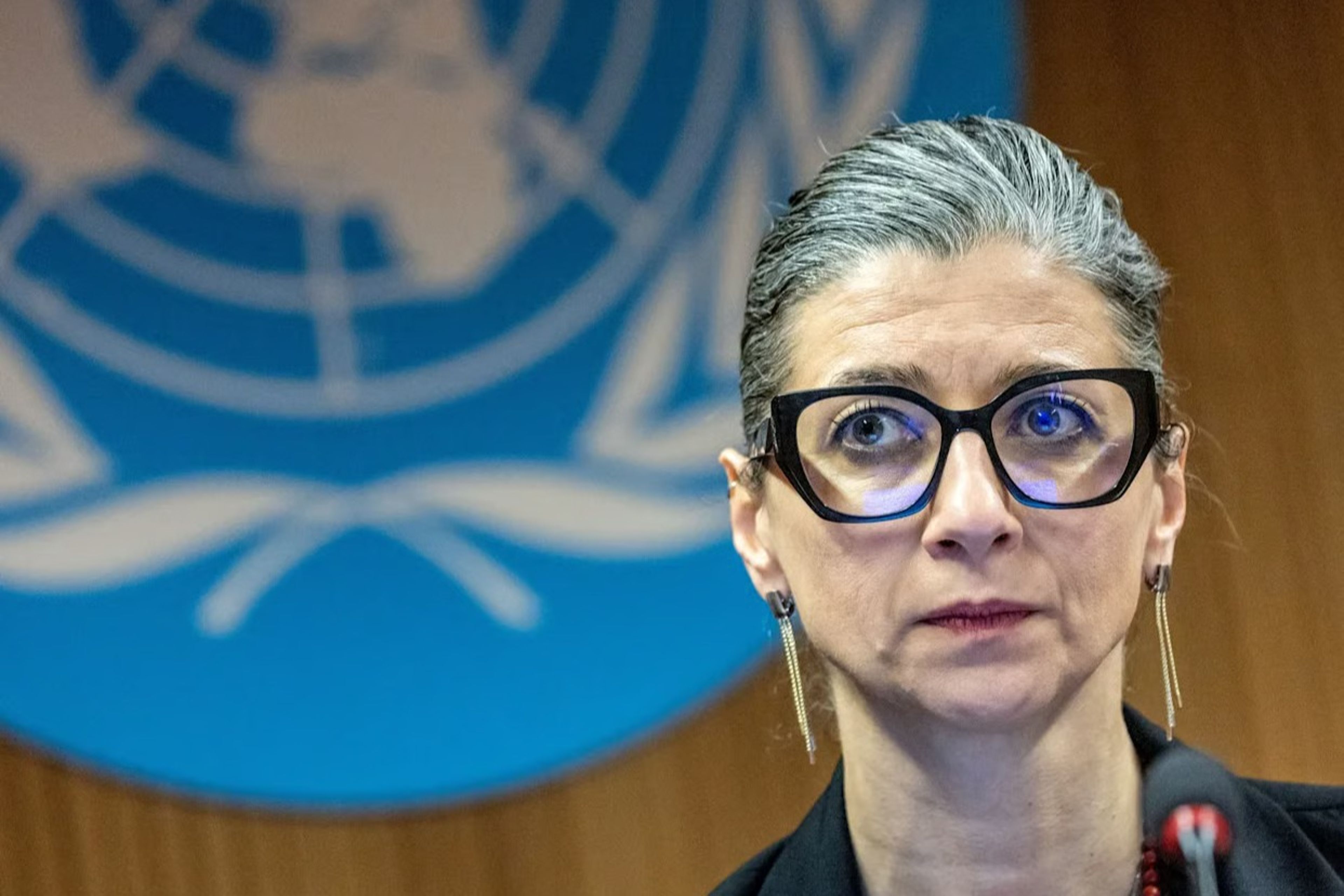 AP üyesi Nemec’ten Francesca Albanese’ye Nobel çağrısı