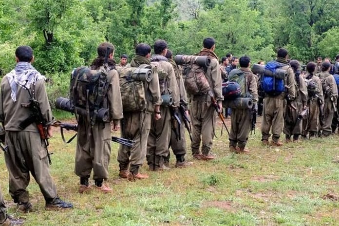 PKK'nın açıklamasının ardından Türkiye'ye tebrik mesajları geldi