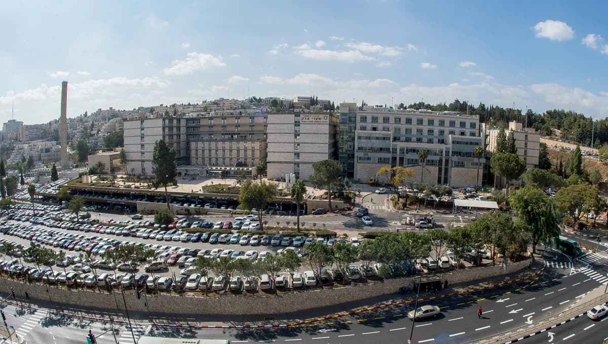 Kudüs'teki Shaare Zedek Tıp Merkezi - Shaare Zedek Web