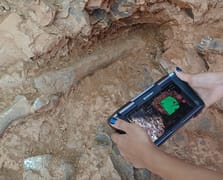 Denizli'deki kazılarda 9 milyon yıllık fosiller bulundu: 27 tür tespit edildi