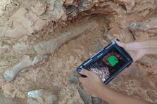 Denizli'deki kazılarda 9 milyon yıllık fosiller bulundu: 27 tür tespit edildi