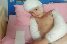 Ankara’da başıboş köpek saldırısında emsal karar