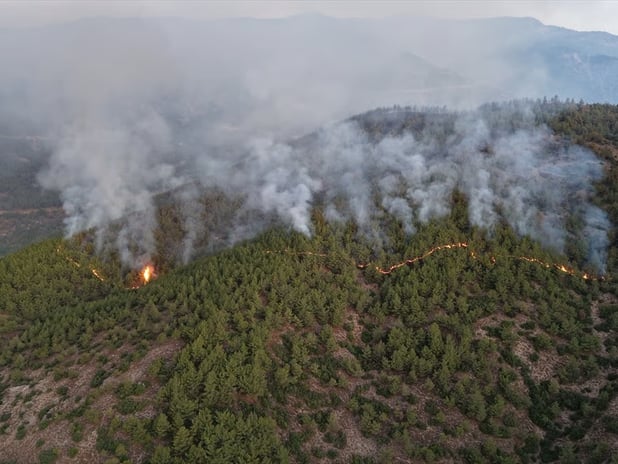 Hatay'da orman yangınına müdahale devam ediyor: 1115 kişi tahliye oldu