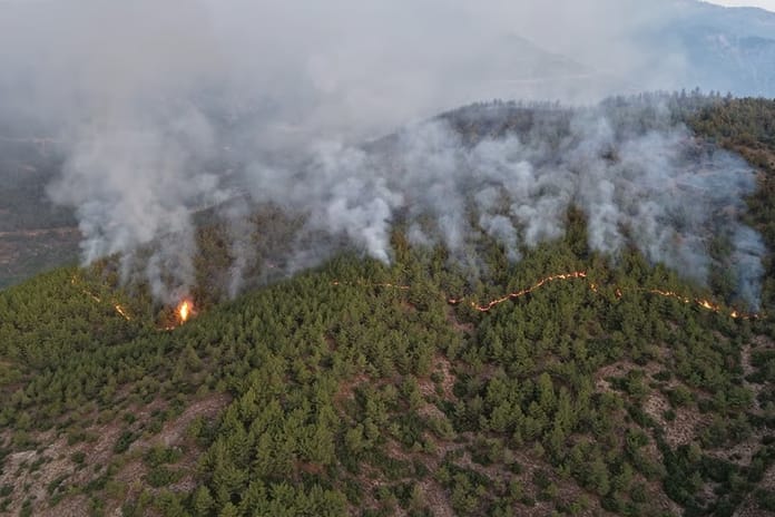 Hatay'da orman yangınına müdahale devam ediyor: 1115 kişi tahliye oldu