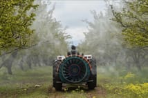 Tarım ilaçlarına reçete şartı! İnternetten satış da yasaklandı