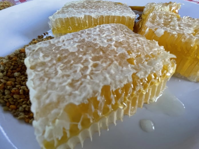 Yenice ıhlamur balı AB’de resmen tescillendi 