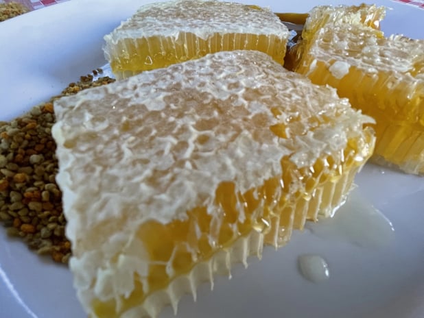 Yenice ıhlamur balı AB’de resmen tescillendi 