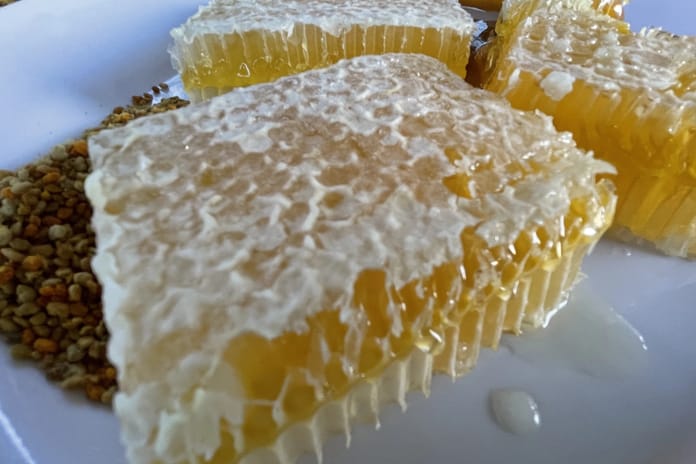 Yenice ıhlamur balı AB’de resmen tescillendi 