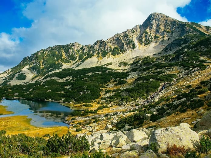 Bulgaristan'da öldüğü düşünülen bir kişi dağda yaşarken bulundu