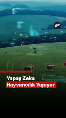 Yapay zeka hayvancılık yapıyor