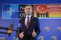 Litvanya, "AB ile Türkiye arasında güvenlik ve savunma alanlarında daha yakın işbirliği" çağrısında bulundu