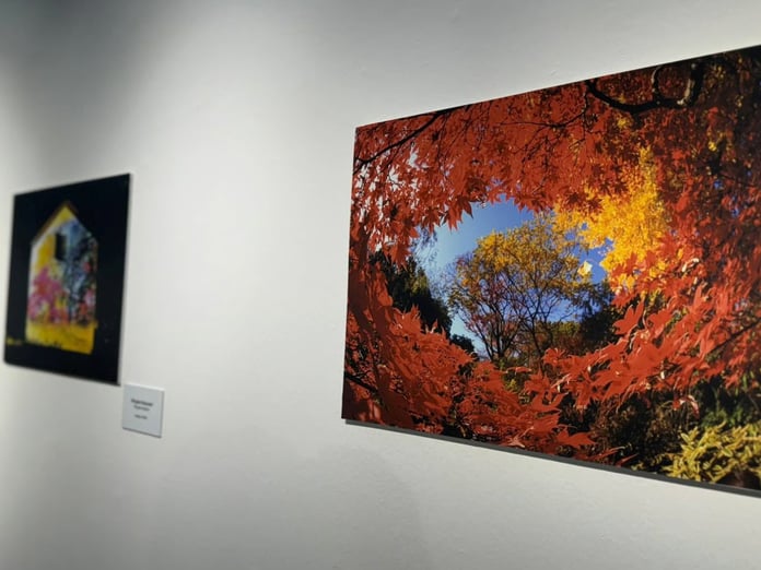 "Kültürler Arası Köprüler" sergisi sanatseverlerle buluştu