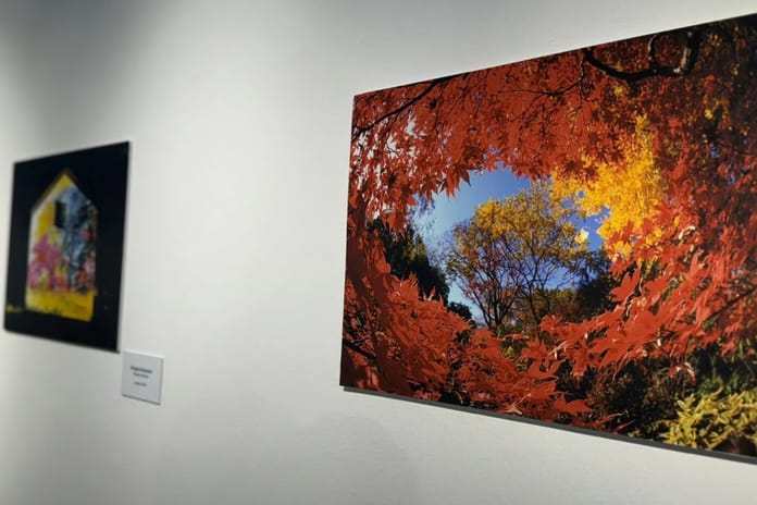 "Kültürler Arası Köprüler" sergisi sanatseverlerle buluştu