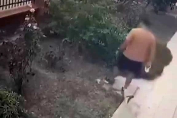 Köpeğini gezdiren şahıs kediye tekme attı