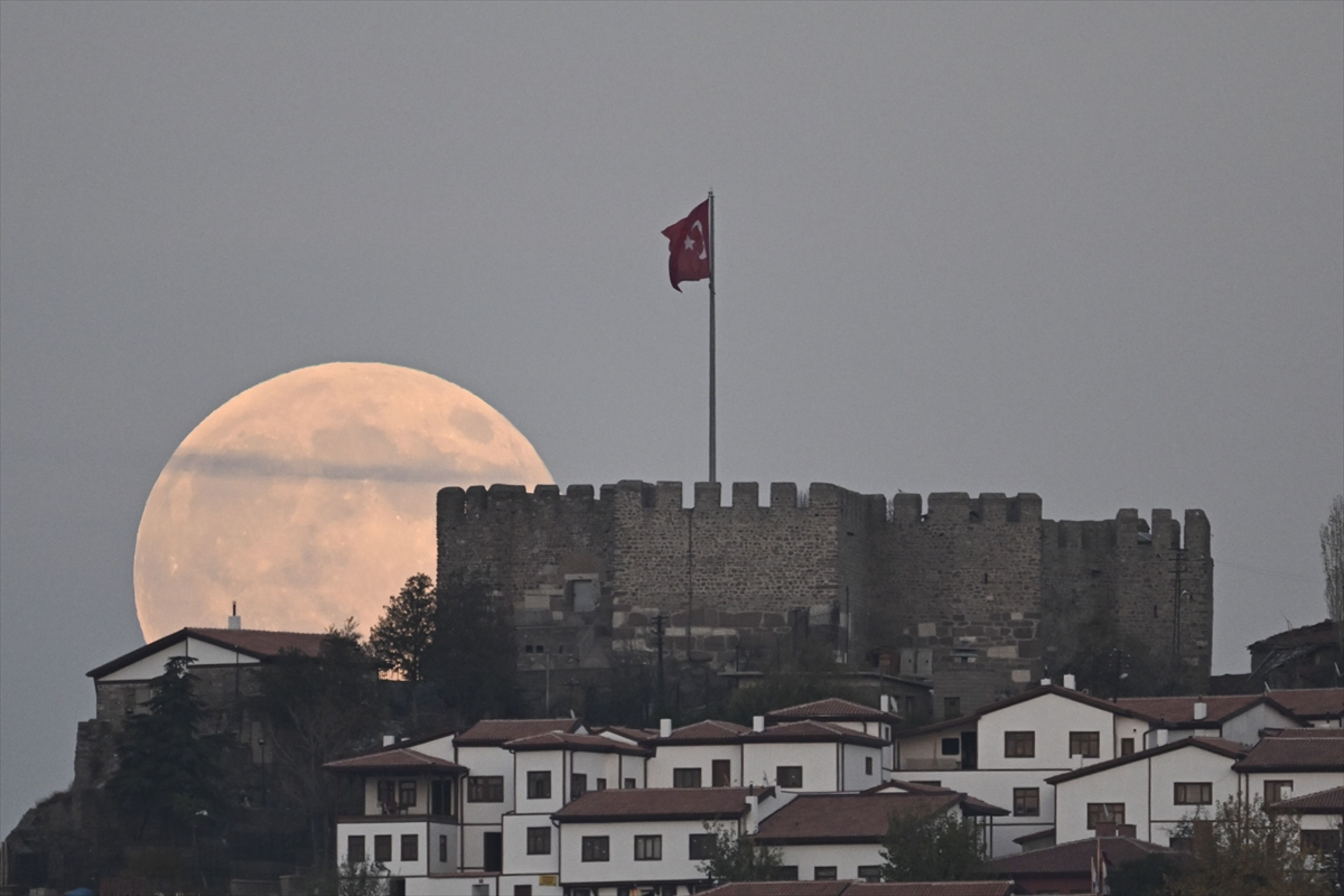 Galeri Fotoğrafı