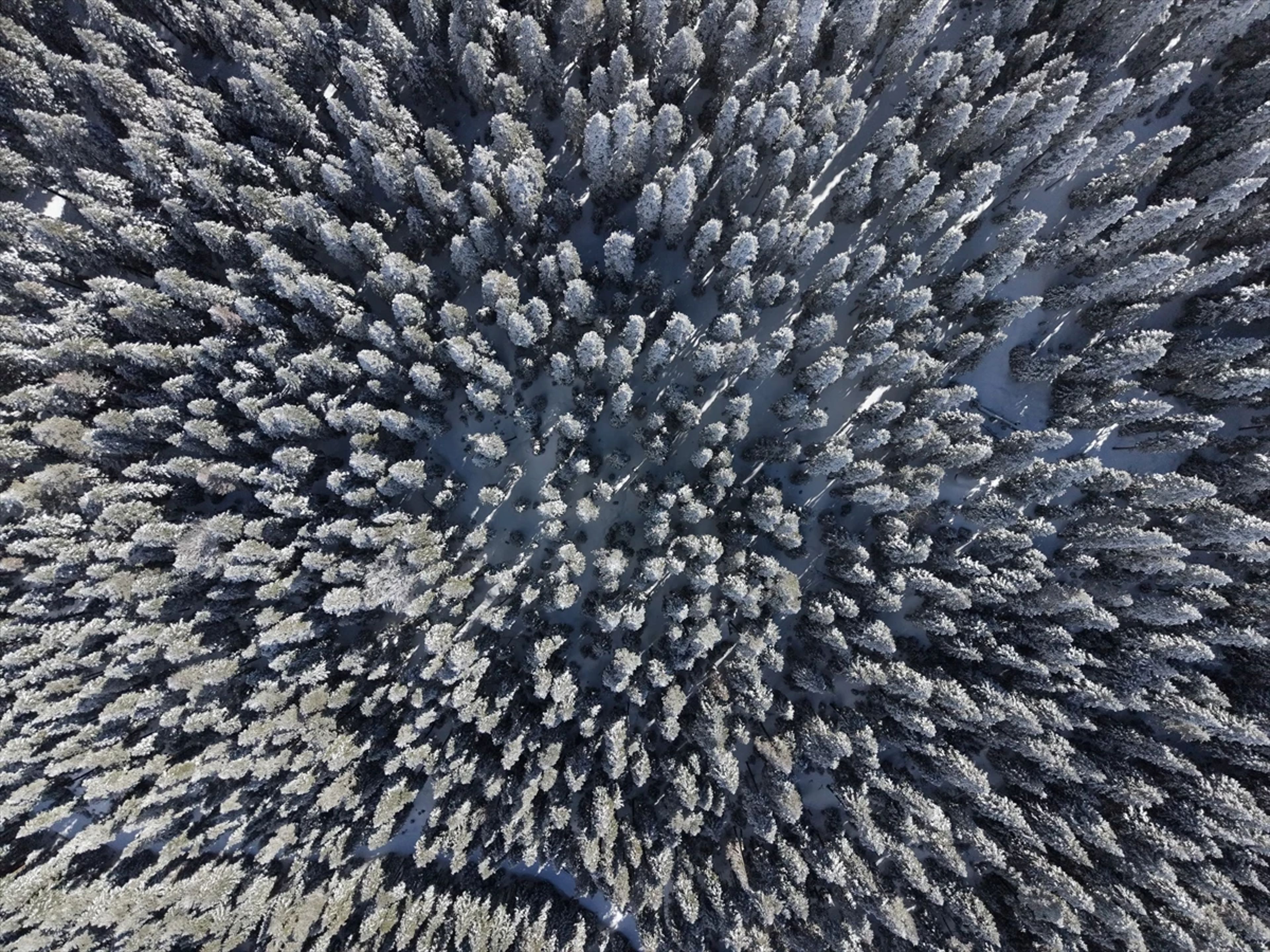 Galeri Fotoğrafı