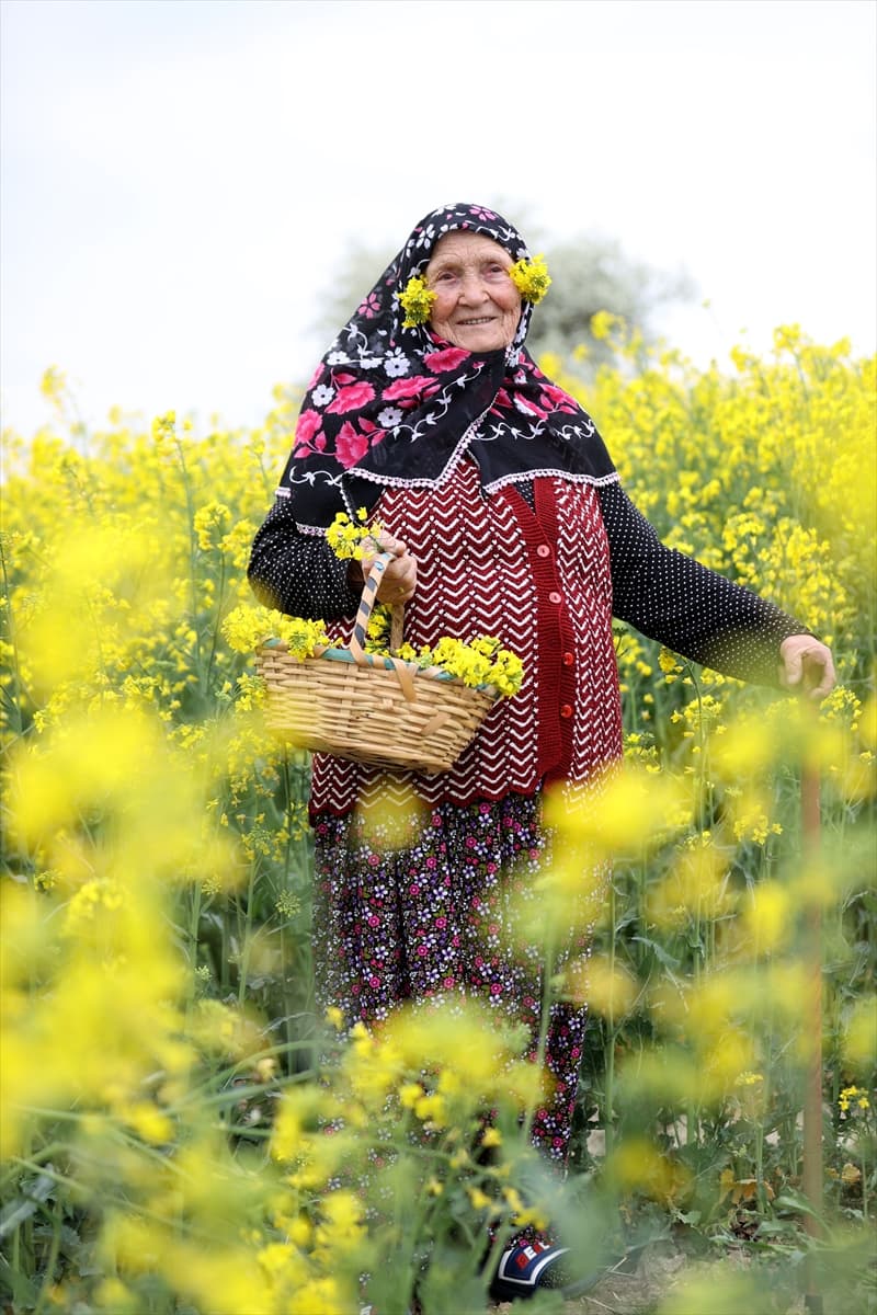 Trakya'da 'sarı selin' mevsimi: Fotoğraf tutkunları bölgeye akın etti 