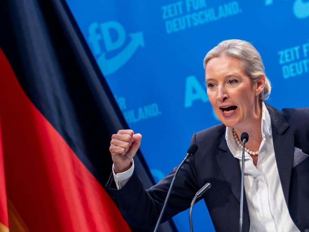 Almanya'da AfD'ye 'Truva atı' şüphesi 