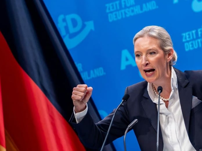 Almanya'da aşırı sağcı AfD'nin hassas verileri sızdırdığı iddia edildi