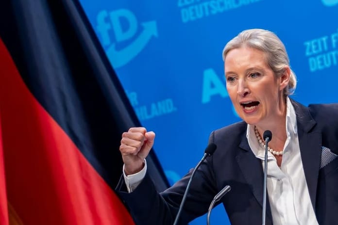 Almanya'da aşırı sağcı AfD'nin hassas verileri sızdırdığı iddia edildi