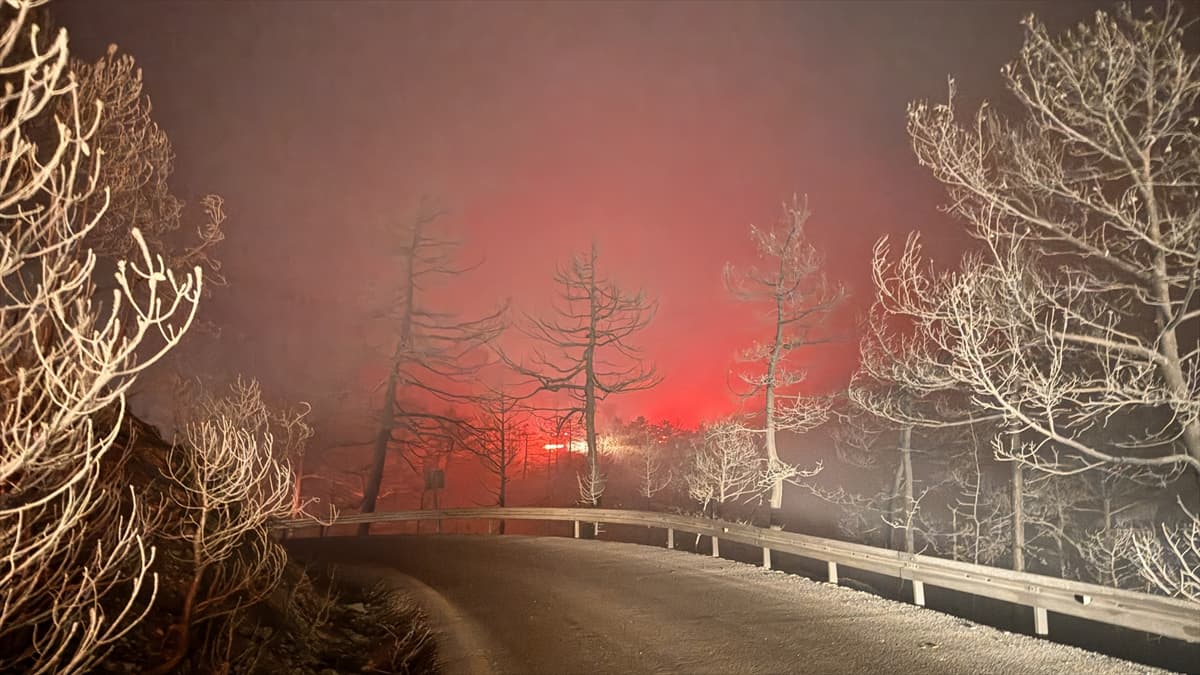 Sakarya'da ormanlık alanda çıkan yangına müdahale devam ediyor