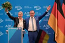Almanya'da aşırı sağ parti AfD ABD’nin güvenlik stratejisini memnuniyetle karşıladı