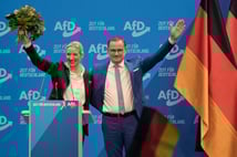 Almanya'da aşırı sağ parti AfD ABD’nin güvenlik stratejisini memnuniyetle karşıladı