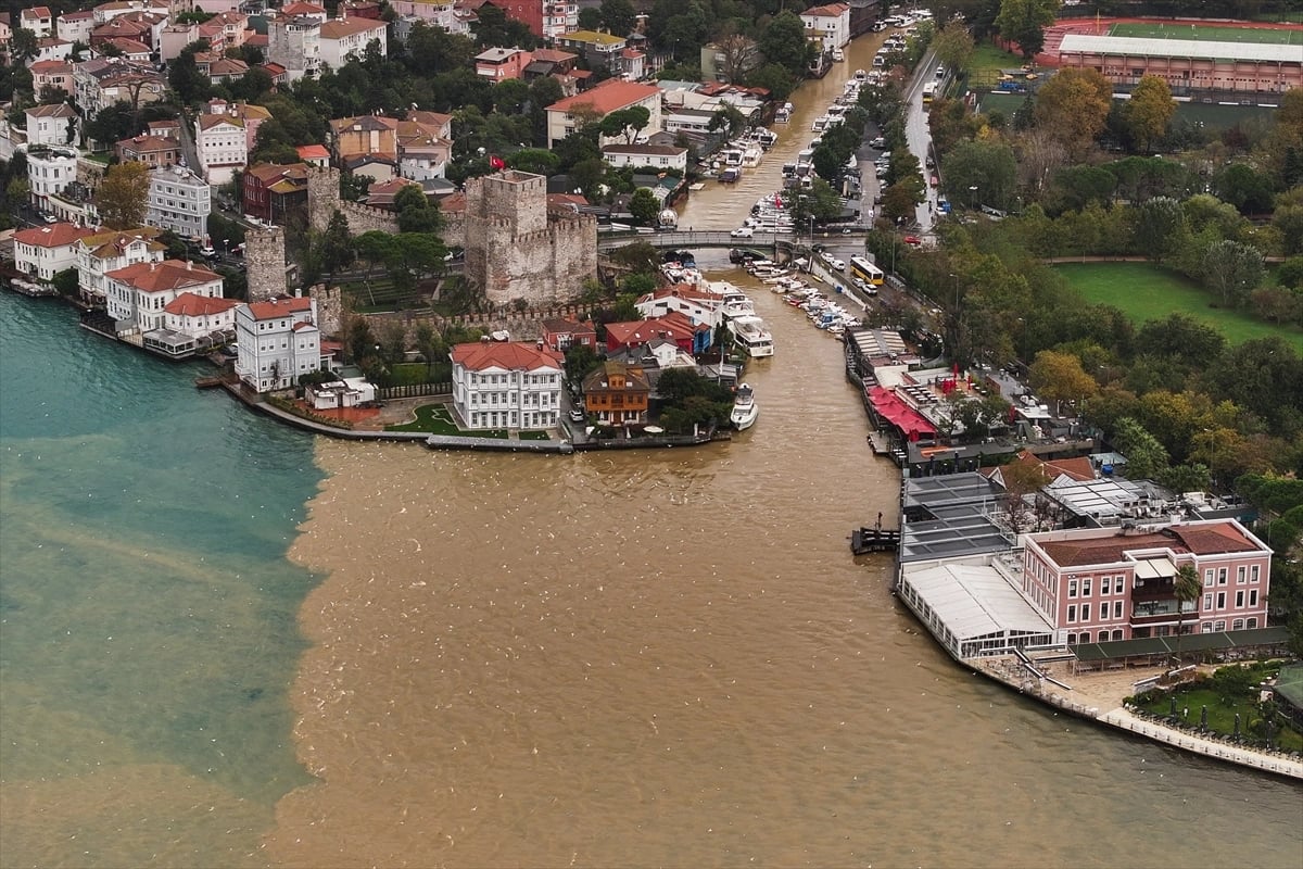İstanbul Boğazı kıyı kesimlerinde deniz rengi kahverengiye döndü
