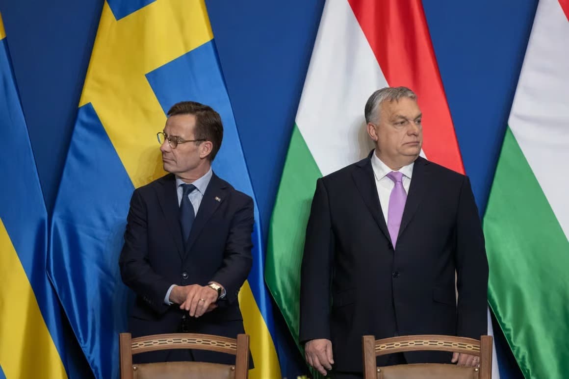 Macaristan Başbakanı Orban İsveçli suç çetelerinin kız çocuklarını kullandığını iddia etti