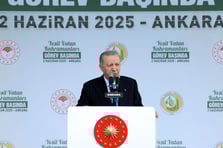 Cumhurbaşkanı Erdoğan'dan orman yangınları uyarısı: Ateş yakmak ihanettir!