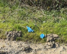 İstanbul’da vahşet: Kayıp Çinli iş insanı tarlada gömülü bulundu