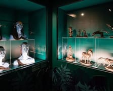 Titanik'ten Avatar'a: James Cameron Sanatı