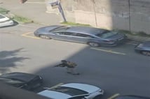 Levent'teki silahlı saldırı soruşturmasında gelişme