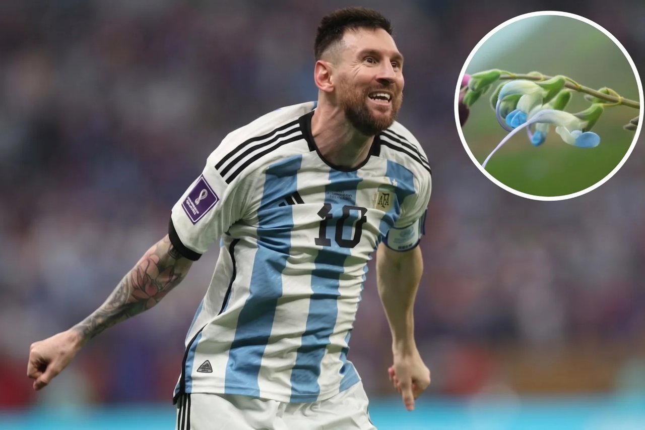 Messi’nin adı Peru’da keşfedilen yeni bir çiçek türüne verildi
