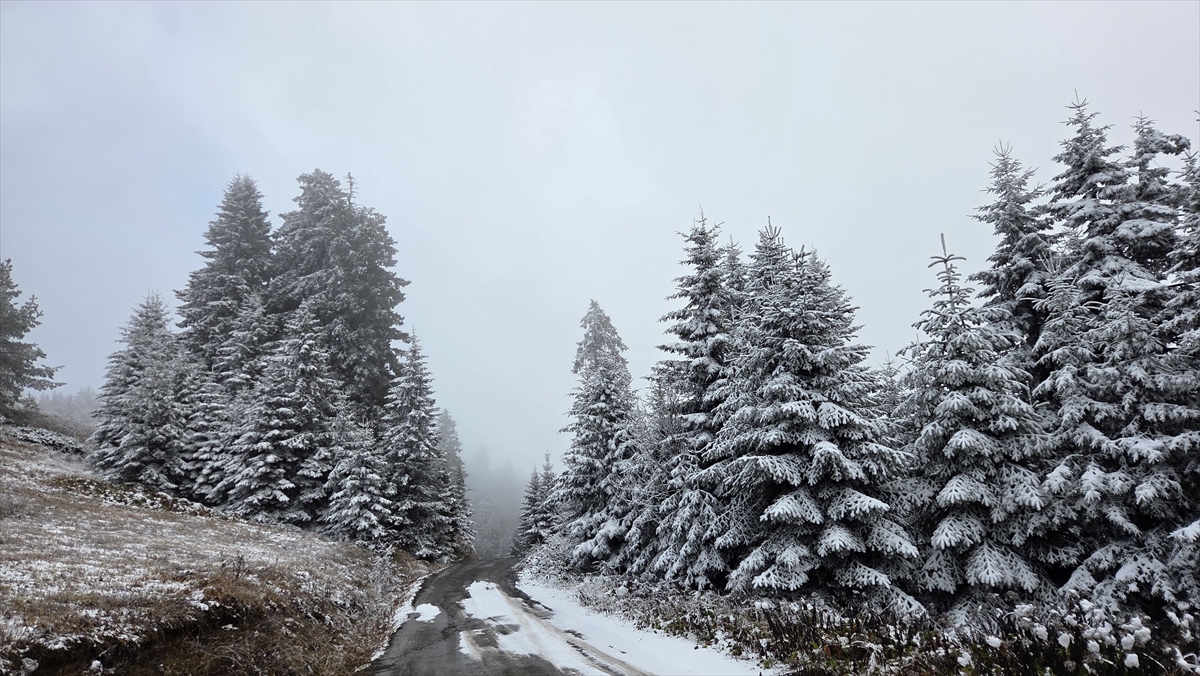 Yaylalarda beyaz örtü: Rize ve Artvin karla kaplandı 