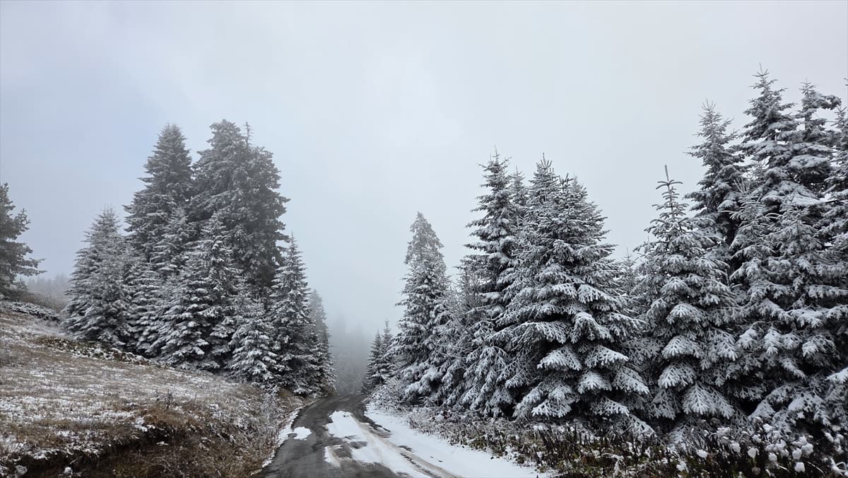 Yaylalarda beyaz örtü: Rize ve Artvin karla kaplandı 